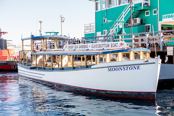 Glass Bottom Boat: Catalina Island Tour