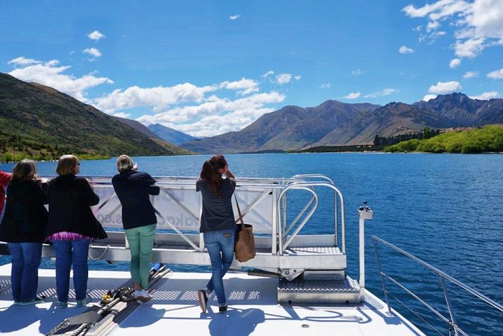 Stevensons Island Cruise and Nature Walk