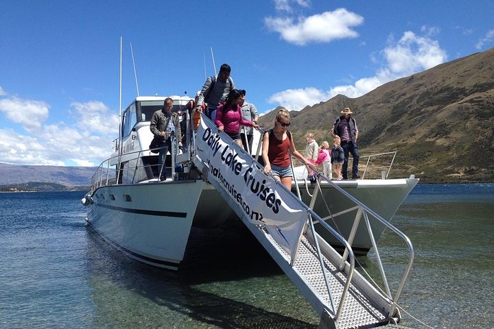 Stevensons Island Cruise and Nature Walk