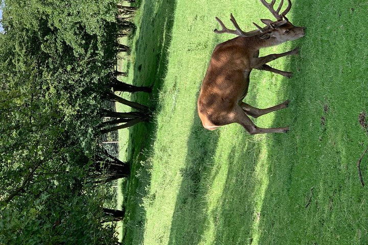Cotswolds Private Day Tour