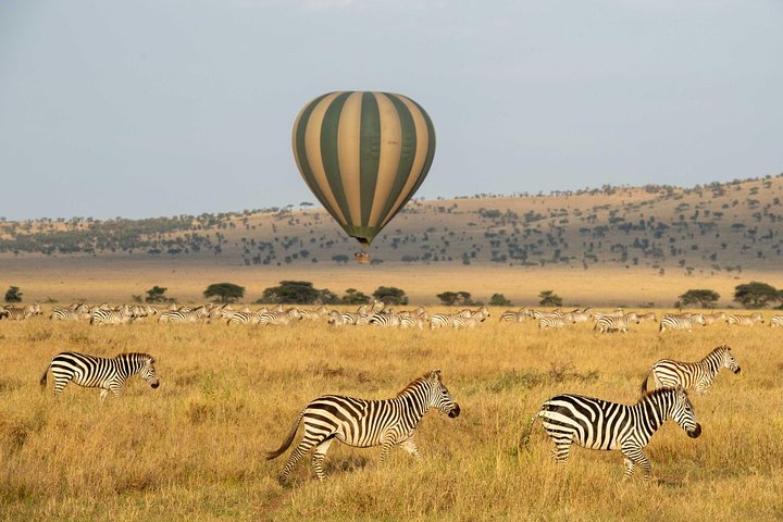 Serengeti Balloon Safari and authentic bush breakfast