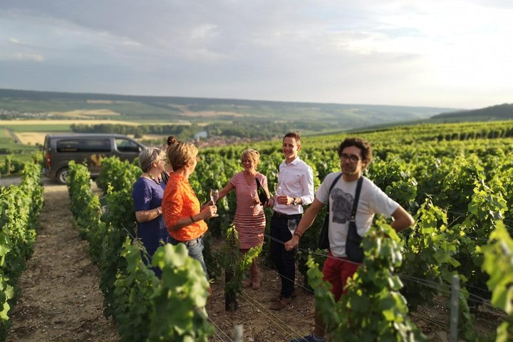 Small Group - Half Day Champagne Tour - Visit of 2 Small Producers/Growers