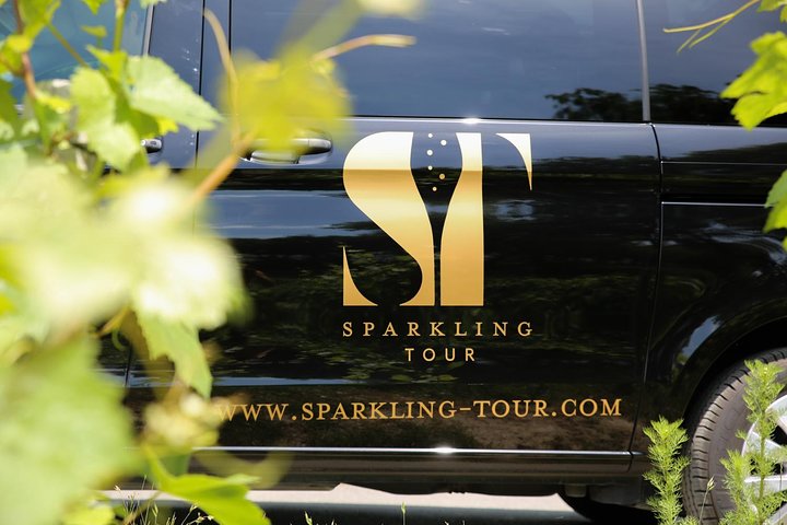 Small Group - Half Day Champagne Tour - Visit of 2 Small Producers/Growers