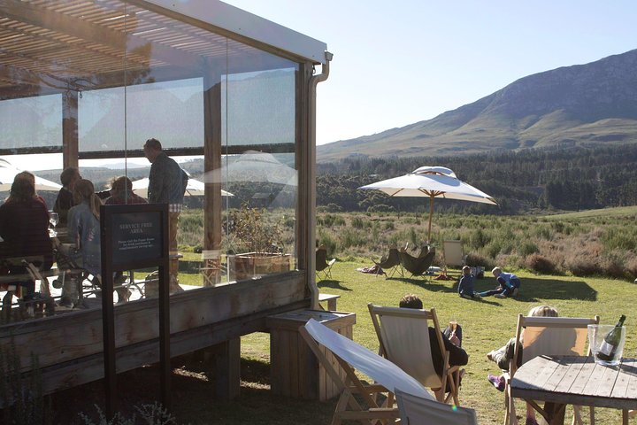 Unguided Hemel-en-Aarde Wine Tour