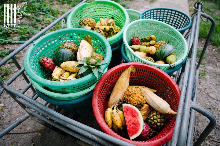 Hua Hin Wildlife Rescue Centre & Elephant Refuge Day Trip