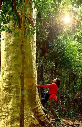 3 Day Murramarang Coast Journey from Batemans Bay with Meals and Villa Accom