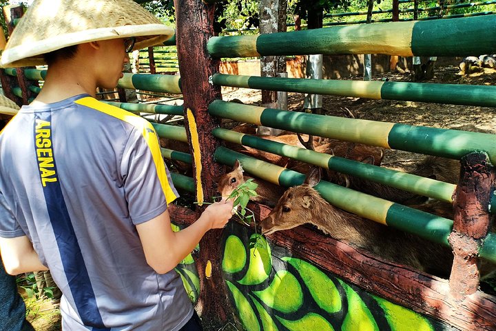 Northern Bintan Full Day Tour