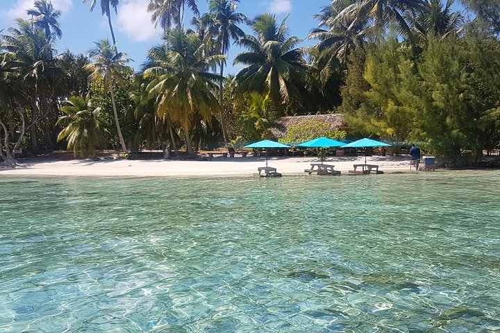 Authentic Polynesian Experience
