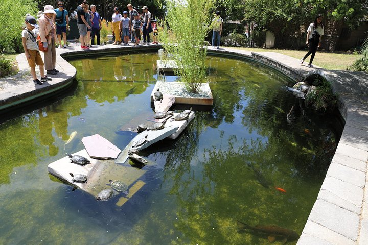Los Angeles 3-Hour City Tour with 3 Stops