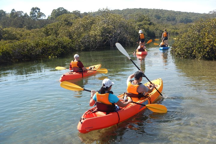 Batemans Bay Glass-Bottom Kayak Tour Over 2 Relaxing Hours