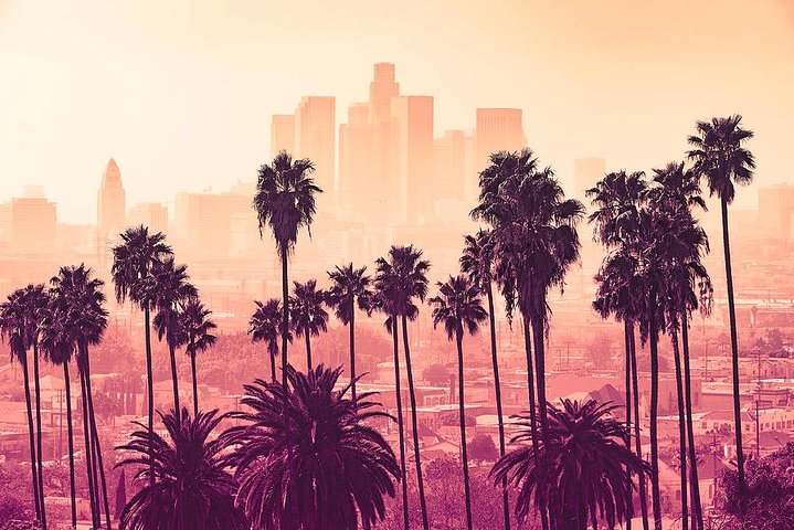 Los Angeles 3-Hour City Tour with 3 Stops