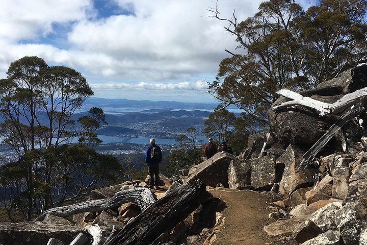 kunanyi/Mt Wellington Explorer Bus- Return Tour (2.5 hours)