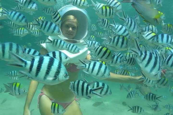 Bali Sea Walking Experience