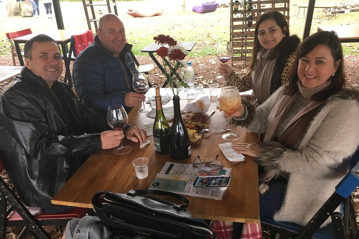 Private Tour in Vale dos Vinhedos in Bento Gonçalves RS