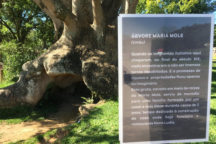 Private tour on Caminhos de Pedra in Bento Gonçalves RS
