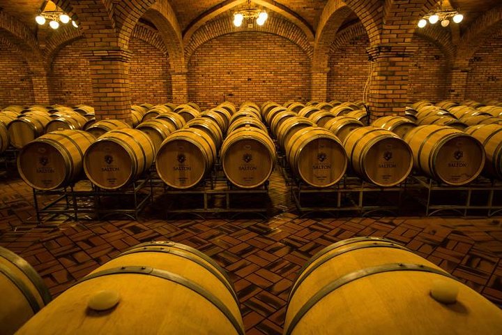 Private Tour of the Largest Wineries in Bento Gonçalves RS