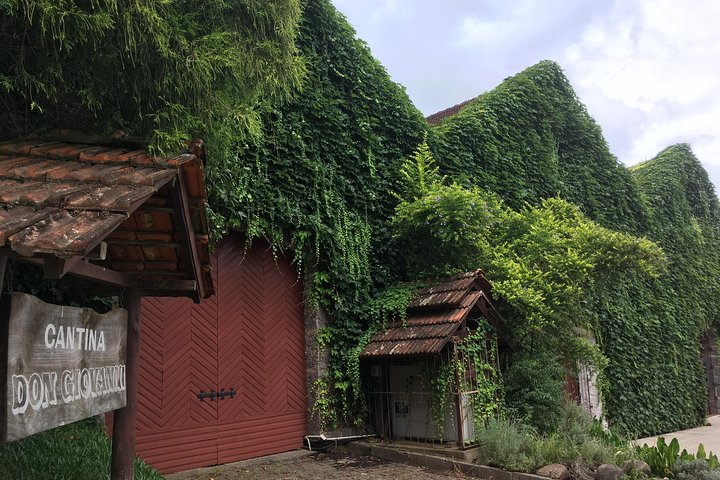 Private Tour Cave Geisse + 2 Wineries from Pinto Bandeira RS