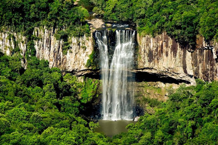 Private Tour Cave Geisse + 2 Wineries from Pinto Bandeira RS