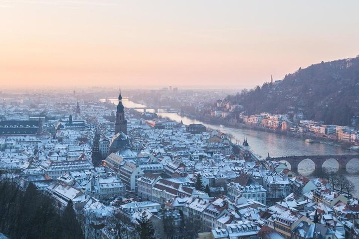 Heidelberg Castle and Old Town Tour from Frankfurt
