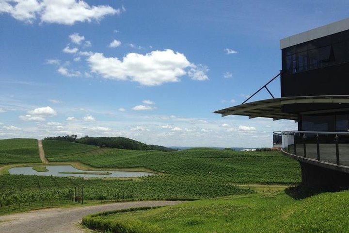 Private Tour of Luiz Argenta and 2 other Flores Cunha wineries