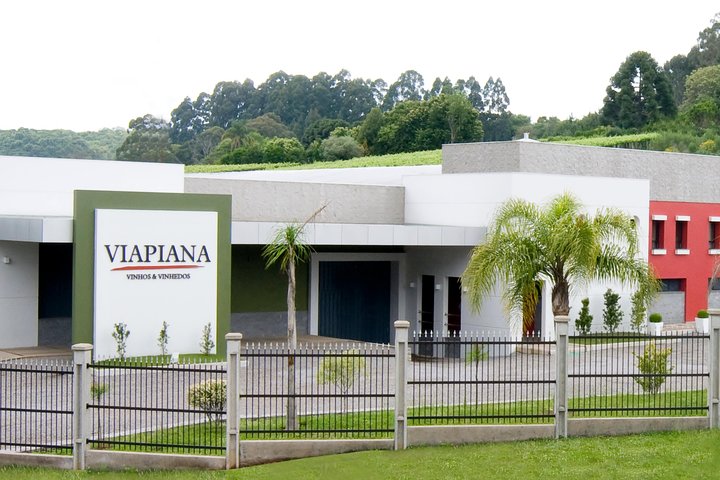 Private Tour of Luiz Argenta and 2 other Flores Cunha wineries