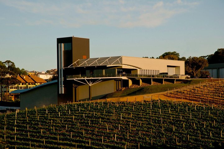 Private Tour of Luiz Argenta and 2 other Flores Cunha wineries