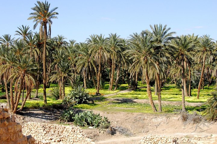 Tozeur and the mountain Oasis