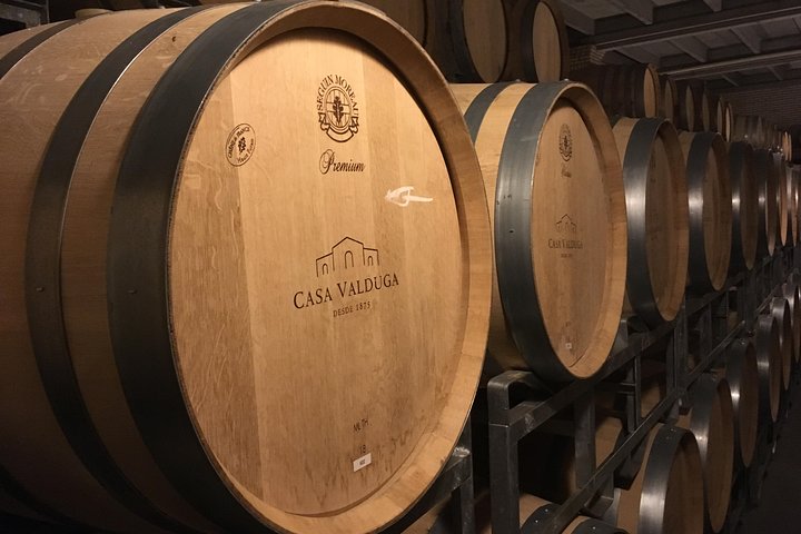 Private Tour of Family Wineries in Bento Gonçalves RS