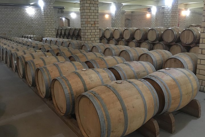 Private Tour of Family Wineries in Bento Gonçalves RS