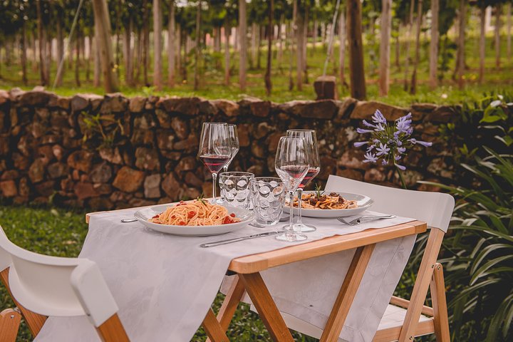 Private Tour of Family Wineries in Bento Gonçalves RS