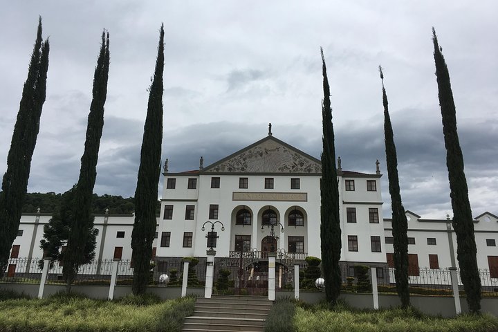 Private Tour of the Largest Wineries in Bento Gonçalves RS