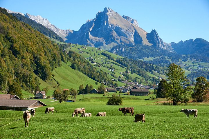 Heidiland and Liechtenstein Tour from Zurich