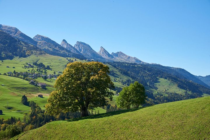 Heidiland and Liechtenstein Tour from Zurich