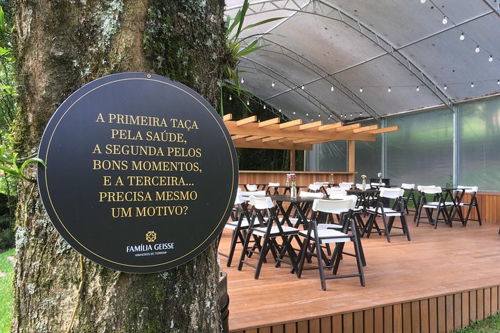 Private Tour Cave Geisse + 2 Wineries from Pinto Bandeira RS