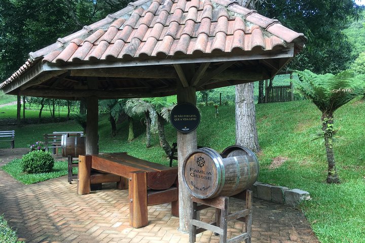 Private Tour Cave Geisse + 2 Wineries from Pinto Bandeira RS