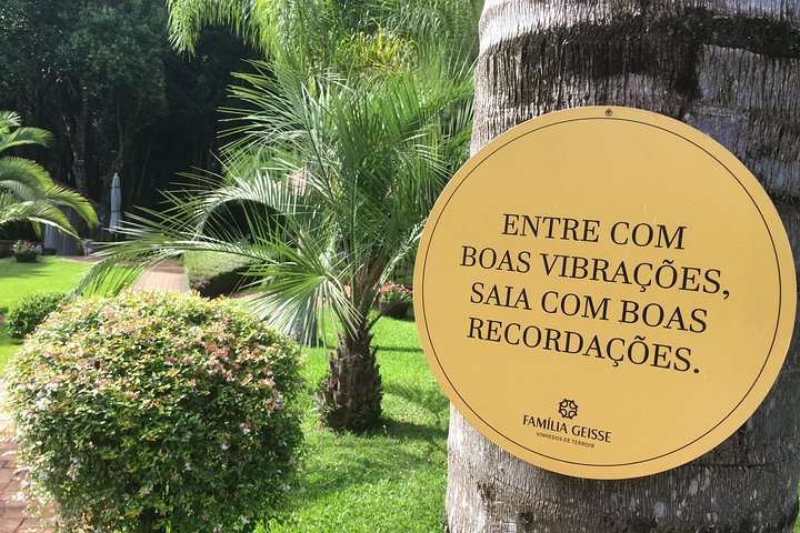 Private Tour Cave Geisse + 2 Wineries from Pinto Bandeira RS