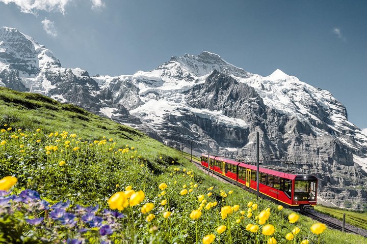 Jungfraujoch: Top of Europe Day Trip from Zurich