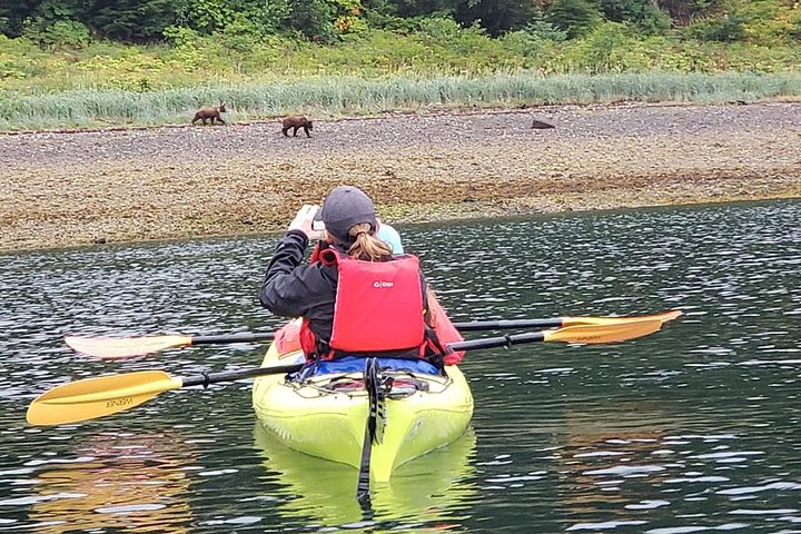 Kayak Tours