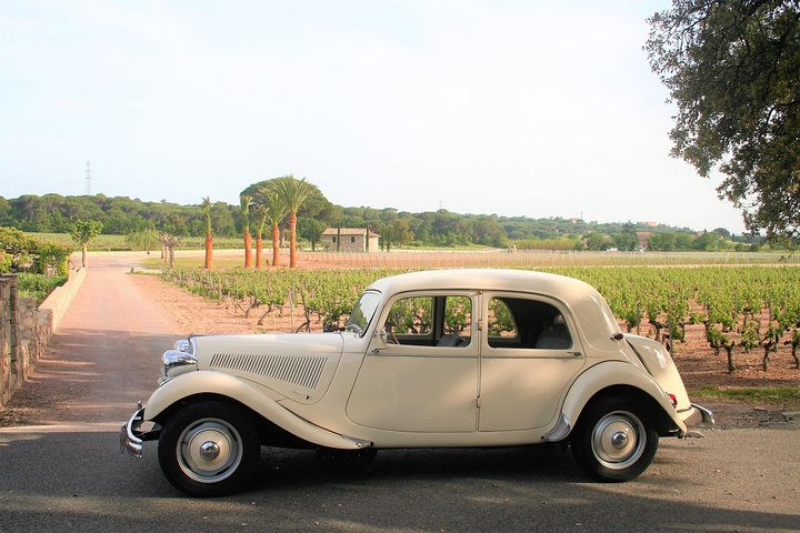 Private tour by private car: Grasse, Cannes, Antibes