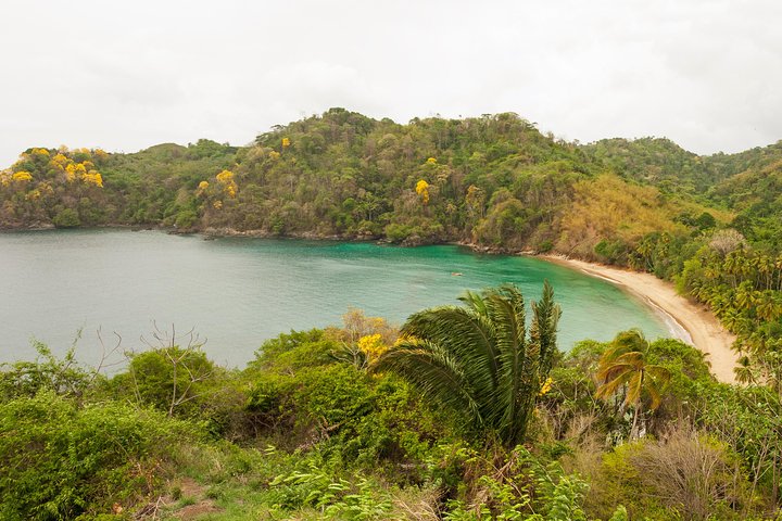 Englishman's Bay Day Trip with Lunch
