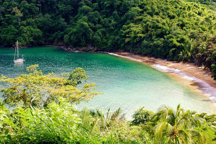Englishman's Bay Day Trip with Lunch