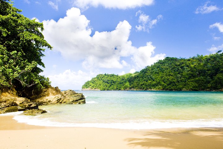 Englishman's Bay Day Trip with Lunch