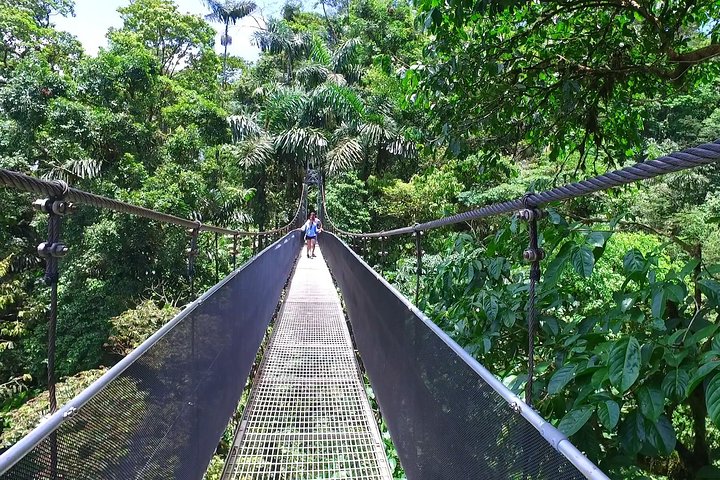La Fortuna Waterfall, Hanging Bridges, Arenal Volcano Combo Tour