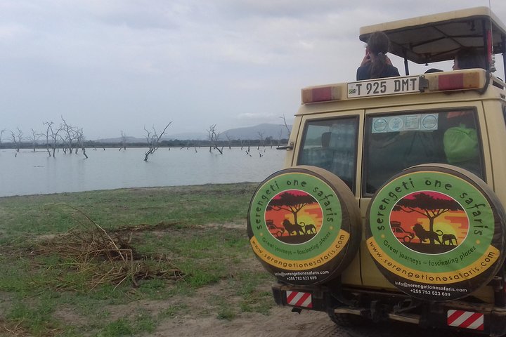 Tanzania Trip Amazing Tarangire Ngorongoro and Manyara