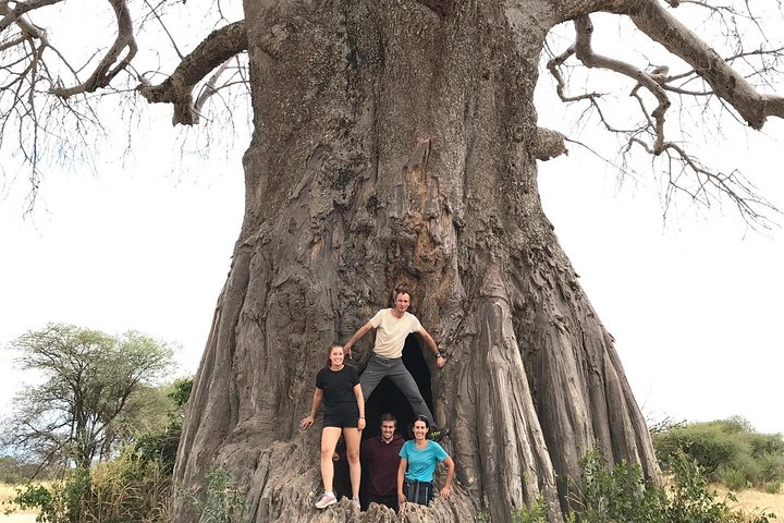Tanzania Trip Amazing Tarangire Ngorongoro and Manyara