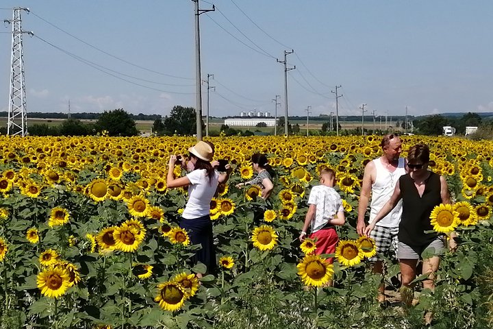 Full-Day Small-Group Tour of Bulgaria by Minivan with Lunch