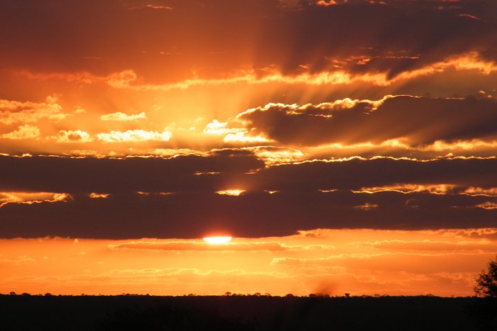 4 Day Kruger National Park Tour