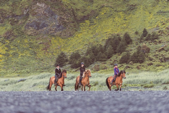 Black Sand Beach Horse Riding Tour from Vik