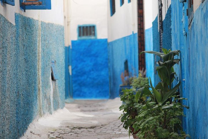 Tangier Guided Tour from Tarifa