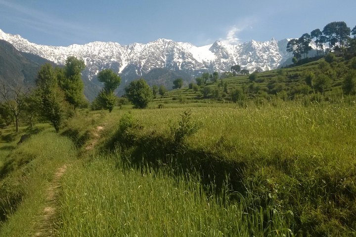 7 Days Dharamsala - Dalai Lama home Trek
